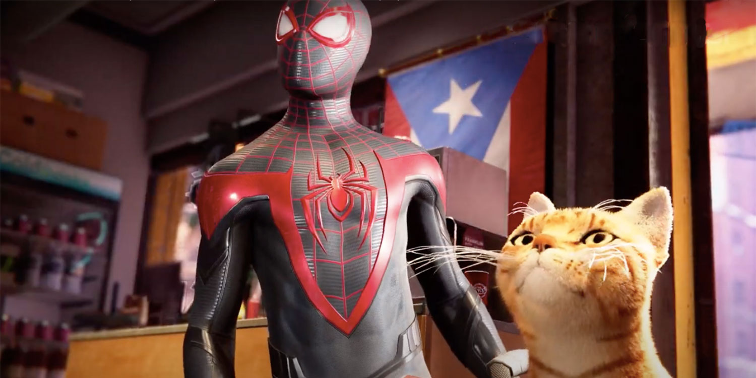 Spider Cat en Spider Man Miles Morales
